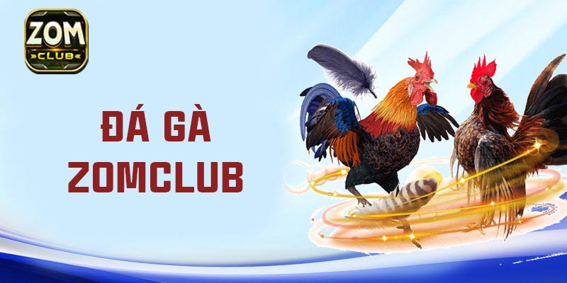 Giới thiệu đôi về đá gà Zomclub trực tuyến